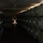 The cellars at Korta Katarina