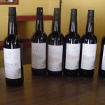 Sherry Maestro No.22