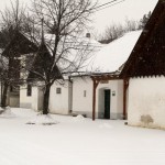 Kellergasse in the Weinviertel